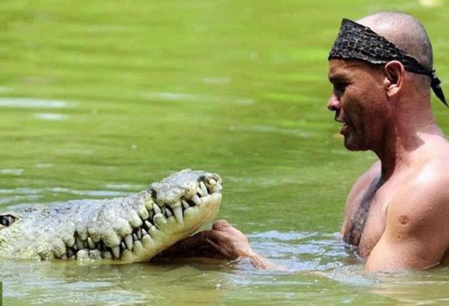 homme eau crocodile