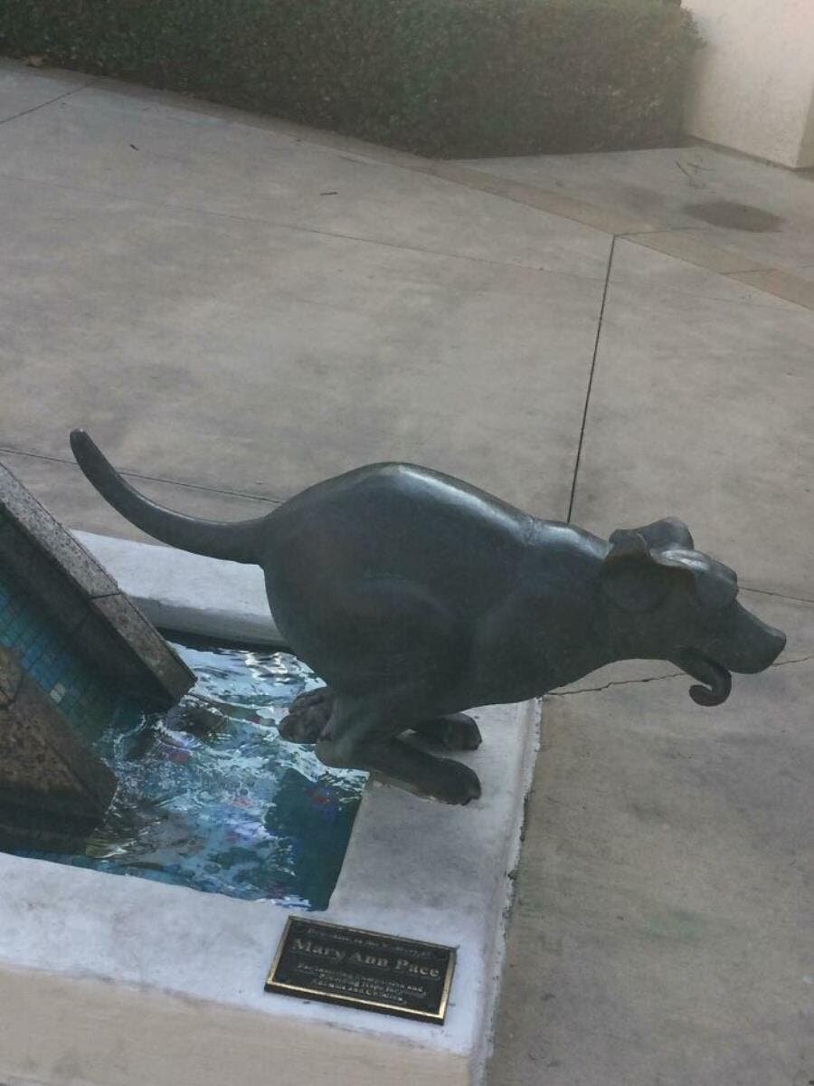 chien statut eau monument