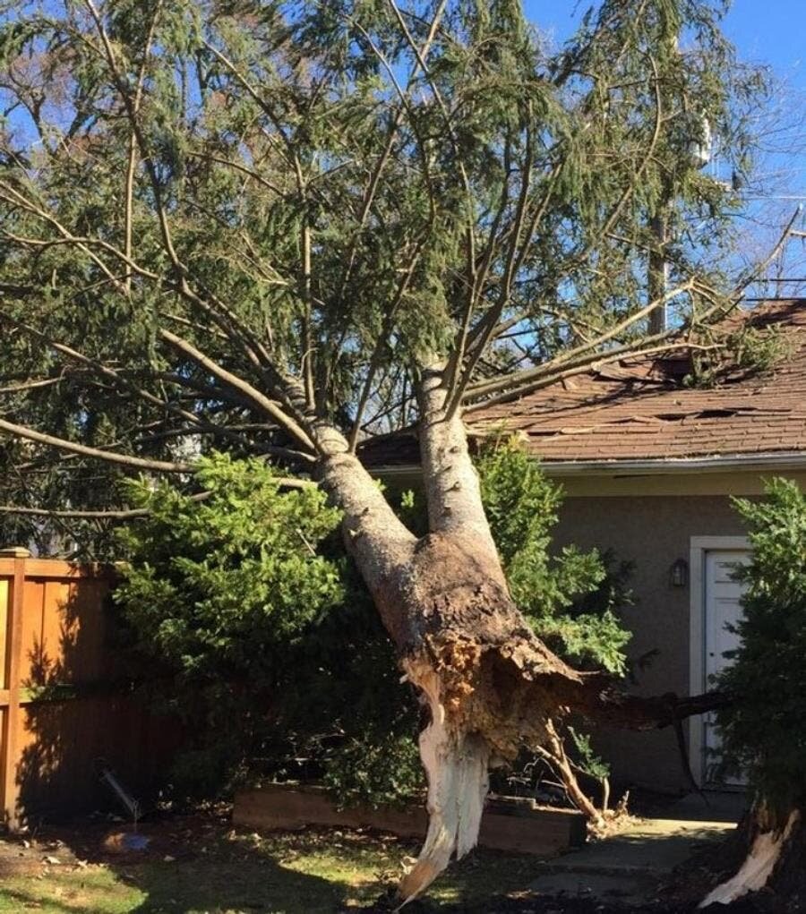arbre maison trou ciel
