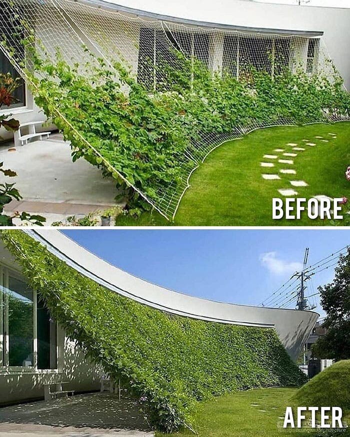 rÃ©novation avant aprÃ¨s