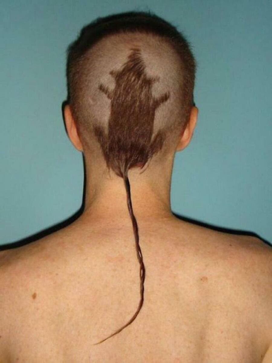 coupe cheveux