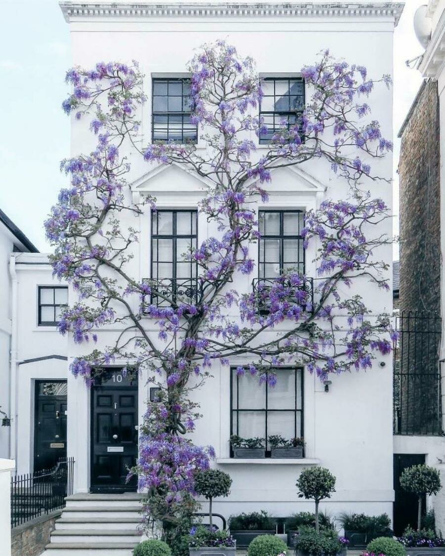 façade maison 
