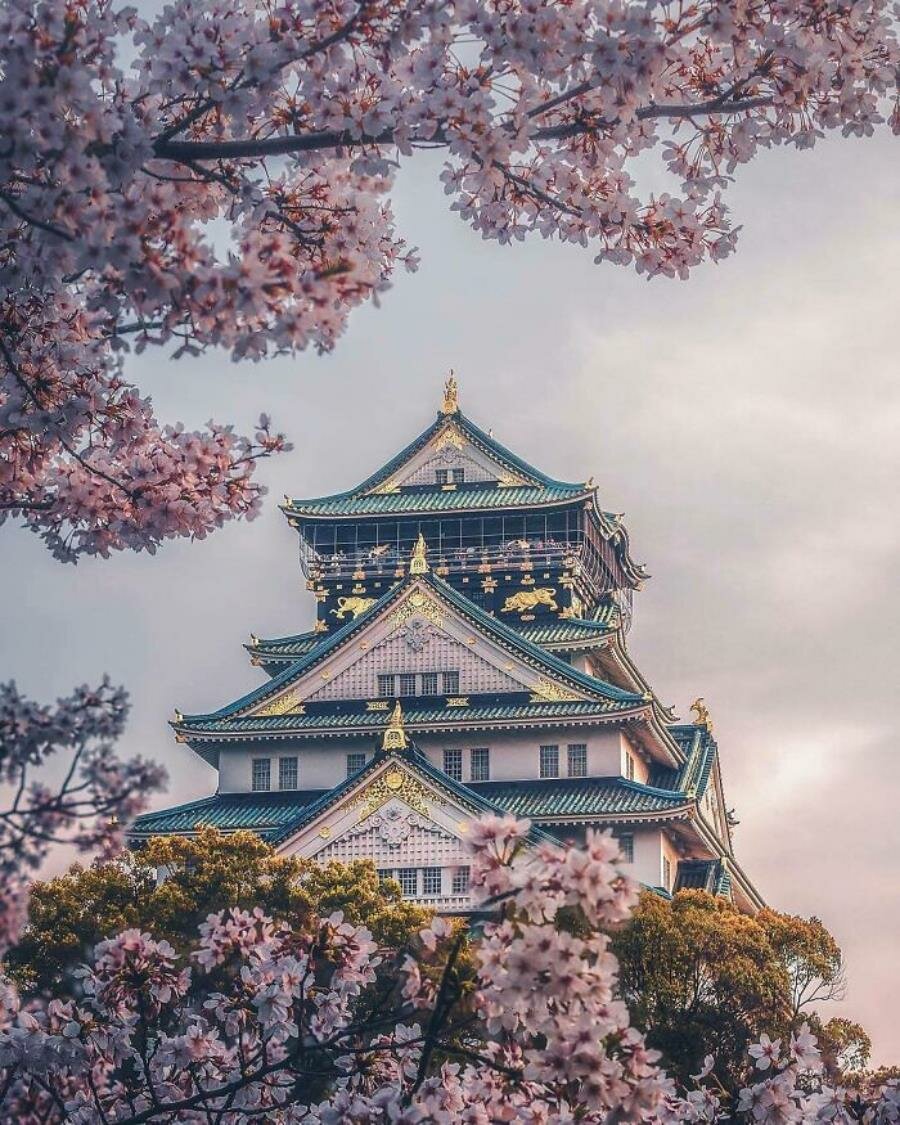 château japonais 