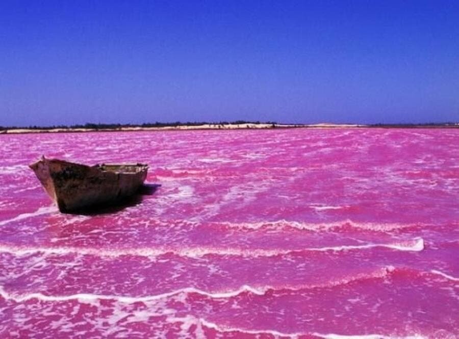 lac rose