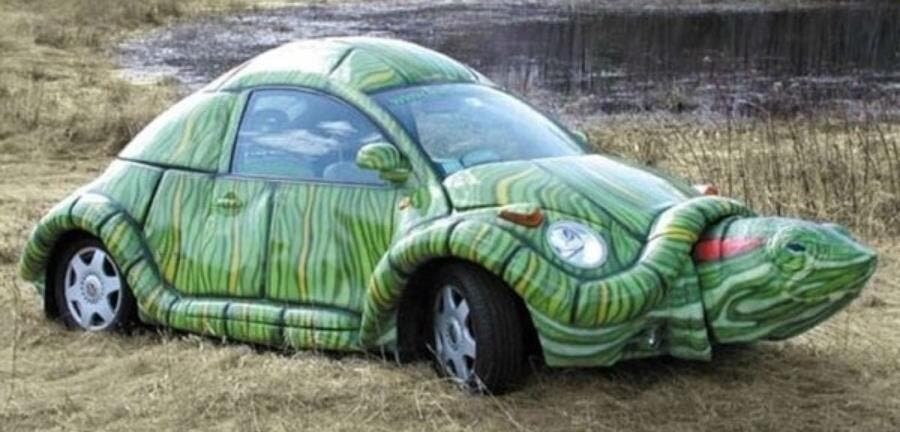 voiture tortue