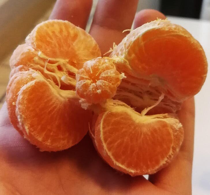 mandarine Ã©trange bizarre