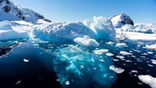 Il est indispensable pour la lutte contre le réchauffement climatique