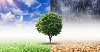 Grâce à l?océan le climat se stabilise ne le sous estime pas