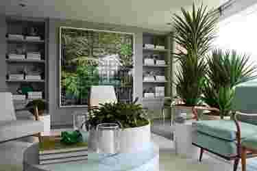 décoration,intérieur,plantes,vertes,salon,mur,végétal