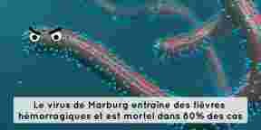 5 virus cauchemardesques qui attendent leur heure