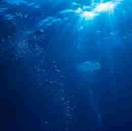 image de bulles dans l'eau prise en sous-marin consequences rechauffement climatique