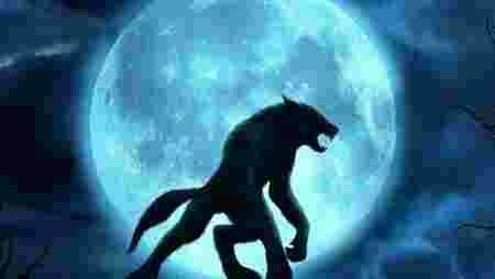 loup garou, lune, poilu