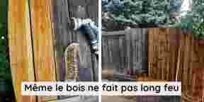10 fois ou le deep cleaning ressemble à un tour de magie