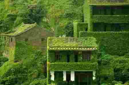 une maison du village - Jane Green