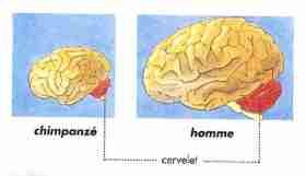 comparaison