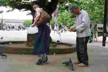 design chaussures pigeons