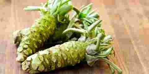 wasabi, plante, racine