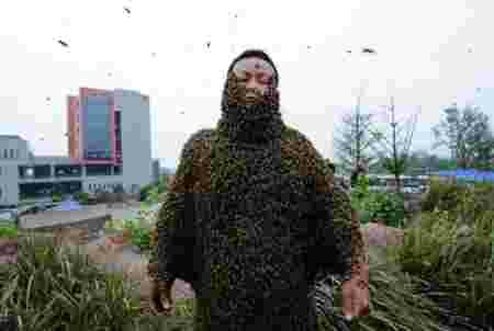 abeilles, recouvrir corps, record, monde