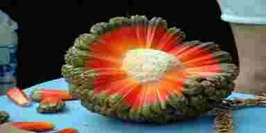 Ces 27 fruits et légumes dont vous ne soupçonniez même pas l'existence