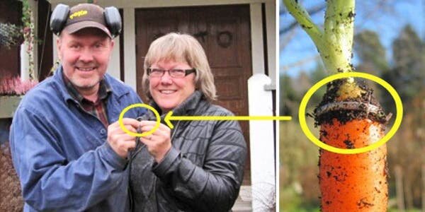 10 personnes dont la chance extrême compense notre malheur à tous