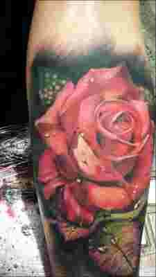 Tatouage réaliste rose