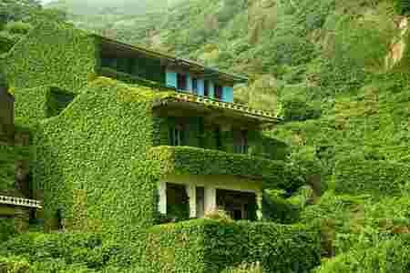 maison verdure