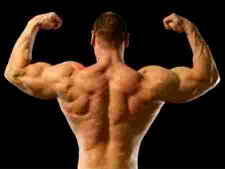 monsieur, musclé, dos, bras, curling