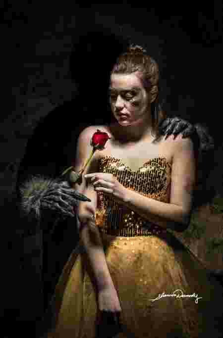 Shannon Dermody princesses Disney maux société Belle violences conjuguales