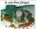 Manque de sommeil