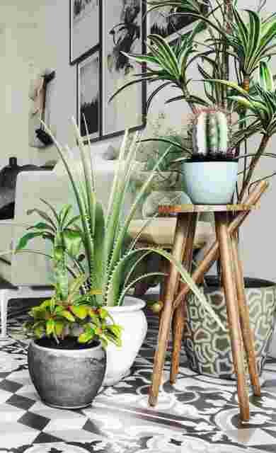 décoration,intérieur,plantes,vertes,tabouret,bois