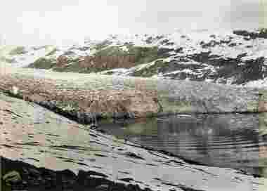 reid glacier 1899