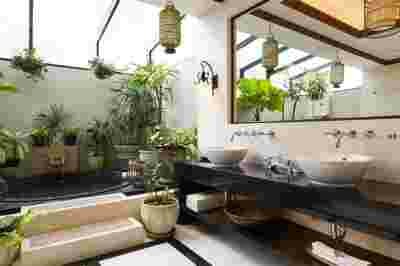décoration,intérieur,plantes,vertes,salle,bain,douche