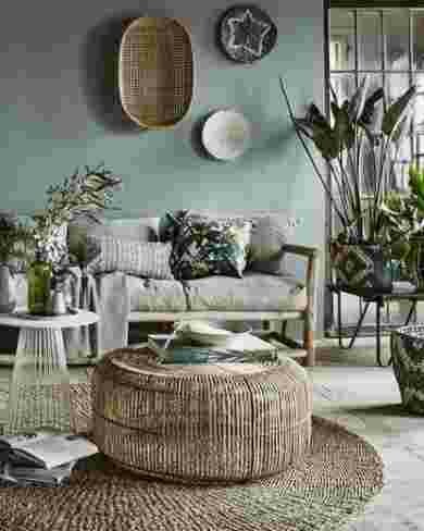 décoration,intérieur,plantes,vertes,salon