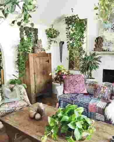 décoration,intérieur,plantes,vertes,salon,hippie,couleurs