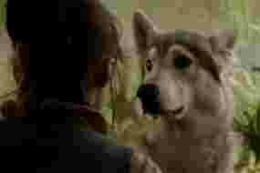 Arya et Nymeria