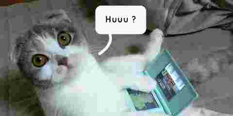 Si t'aimes ton chat, mange-le : les japonais inventent...