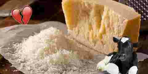 parmesan coeur brise veau
