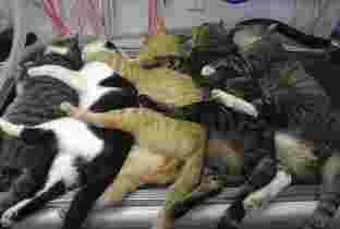 10 positions sexuelles orgasme garanti