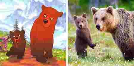 Animaux dessin-animé réalité ressemblances Koda Kenaï ours