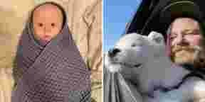 12 photos aussi réconfortantes qu'un câlin de ta mamie