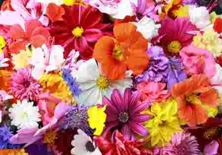 fleurs