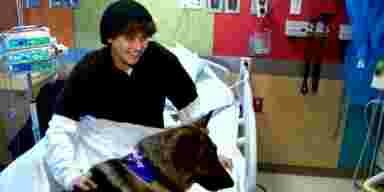 Ils envoient des milliers de photos de chiens à un jeune garçon atteint du cancer pour lui remonter le moral