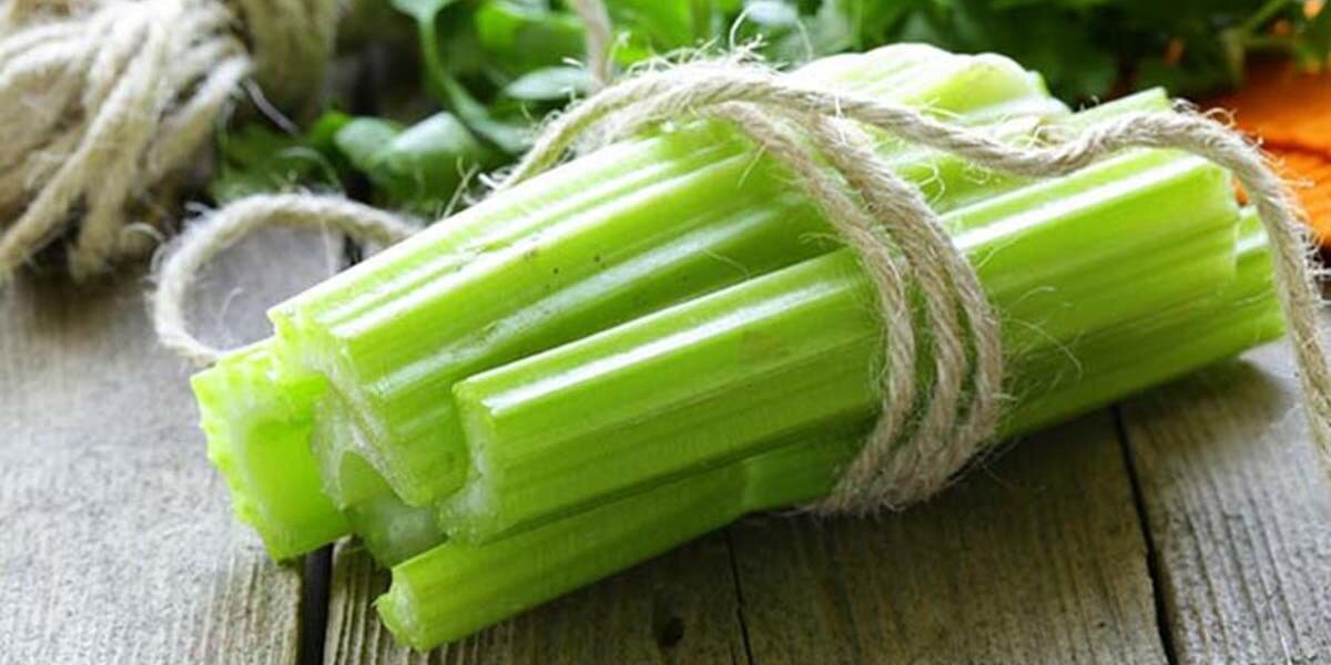 Celeri Corde Aliment