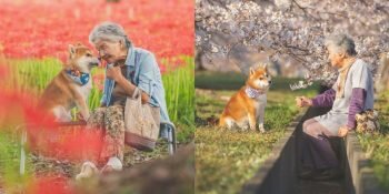 Chien Fleur