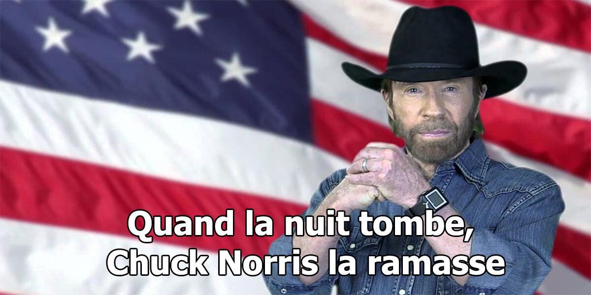 Chuck Norris Le Boss