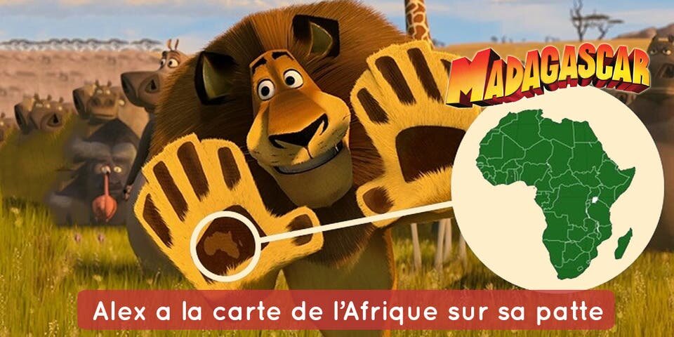 Madagascarpatte