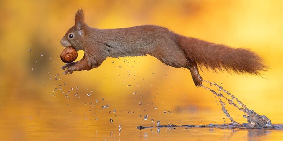Saut Eau