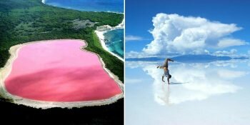 Thumb Homme Lac Rose Blanc