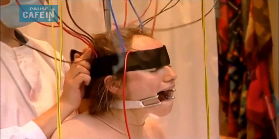 Traitement Animaux