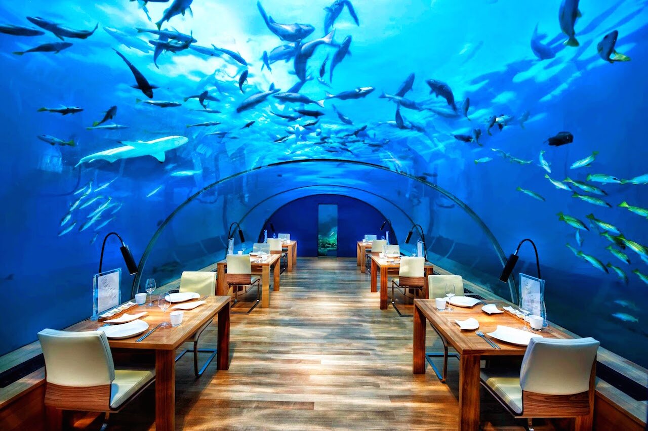 Ithhaa Undersea Maldives 320 Par Personne
